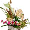 Thinking of U - Click here to View more details about this Product
